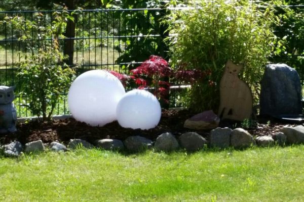 img-20160615-wa00691